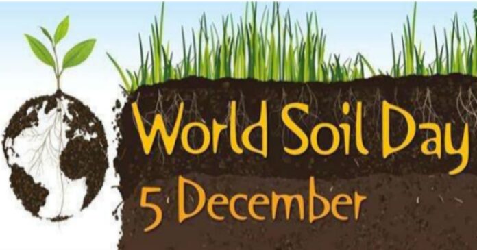 World soil day